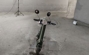 OTHER  BLAZE  SMART EV ..