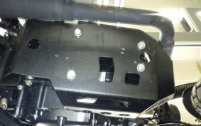 OTHER MUTT250 2006
