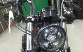 OTHER +HD. XL1200X 2015