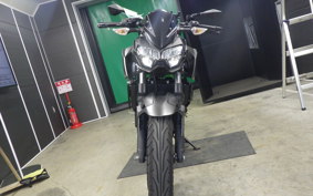 KAWASAKI Z250 Gen.2 2023 EX250Y
