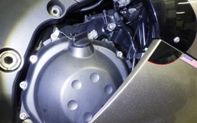 KAWASAKI ZX 1400 NINJA 2010