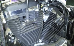 HARLEY XL1200XS 2019