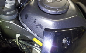 KAWASAKI KLX250D TRACKER X 2007 LX250V