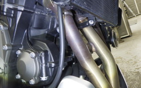 TRIUMPH TRIDENT 660 2024