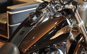 HARLEY HARLEY FXDC1450 2013 GV4