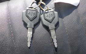 OTHER +UNREGISTERED MODEL by BDS125