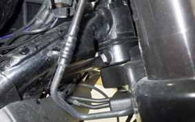 HARLEY XG750 STREET ROD 2020