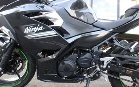 KAWASAKI NINJA 250 EX250P