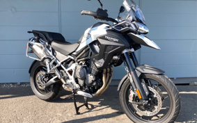 TRIUMPH  TRIUMPH  TIGER 1200GTPRO 2024 TAP22V