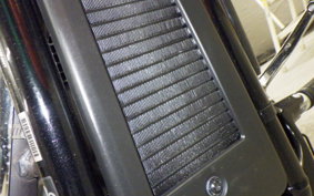 HARLEY FXBR1920 2024