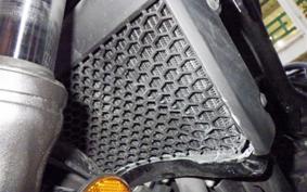 HONDA REBEL 250 E-Clutch MC49