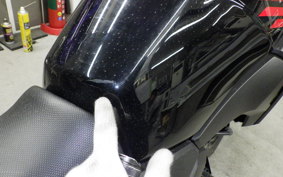 SUZUKI Vｽﾄﾛｰﾑ250 2006