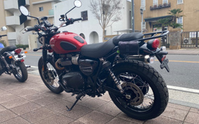 TRIUMPH STREET SCRAMBLER 2019 DAD78G