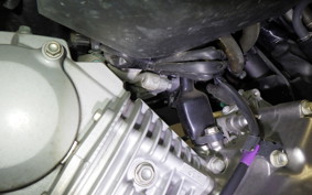 HONDA MONKEY 125 2023 JB03