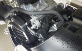 HONDA GIORNO 3 AF77