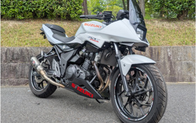 SUZUKI GSX250R DN11A