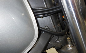 HONDA HORNET 250 2024 MC31