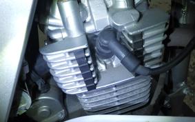 KAWASAKI KLX125 2024 LX125C