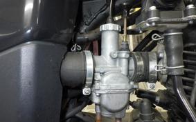 KAWASAKI W175 TR 2020