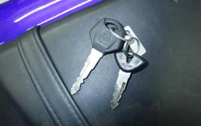 YAMAHA YZF-R25 A RG43J