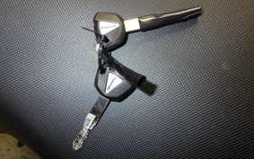 KAWASAKI NINJA 1000 SX 2025 ZXT02K