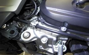 HONDA ﾀﾞﾝｸ 2024 AF78