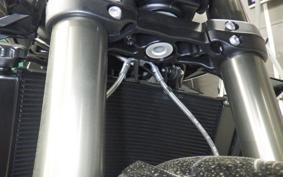 TRIUMPH STREET TRIPLE RS 2026