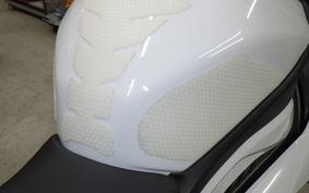 BMW S1000RR M DDC 2025