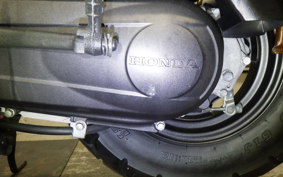 HONDA ZOOMER AF58