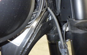 OTHER ENFIELD BULLET 350 2024