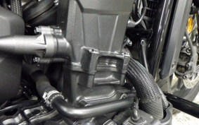 HONDA REBEL 1100 DCT 2021 SC83