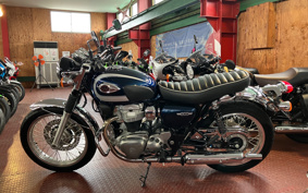 KAWASAKI W800 STREET 2020 EJ800B