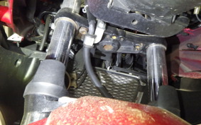 SUZUKI GSX250R 2004