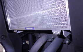 YAMAHA YZF-R25 A 2006 RG43J