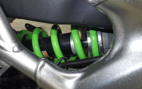 KAWASAKI ZX-4RR 2024 ZX400P