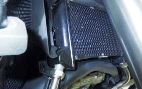 DUCATI MULTISTRADA V4 RALLY 2023