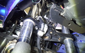SUZUKI GSX250R 2017