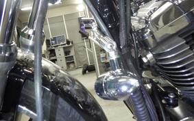 HARLEY L1200LI 2010