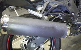 KAWASAKI NINJA 250R 2020 EX250K