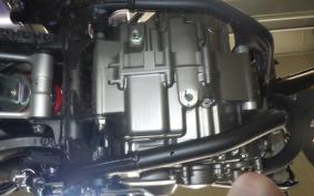 HONDA CRF250L MD47