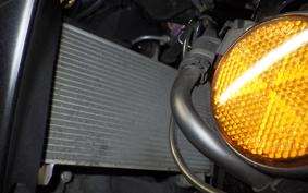 YAMAHA YZF-R25 A RG74J
