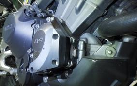 YAMAHA MT-09 2014 RN34J