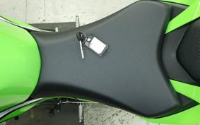 KAWASAKI NINJA ZX-6R A 2025 ZX636J