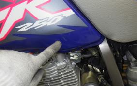 HONDA XR250 BAJA 2021 MD30