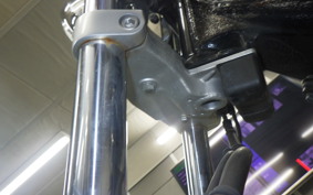 HONDA VT400S 2013 NC46