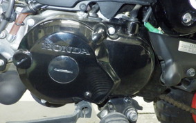 HONDA MONKEY 2008 AB27