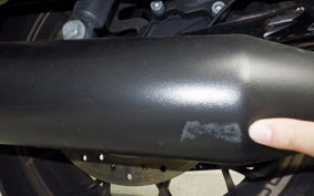 HARLEY FLTRXST1920 2023