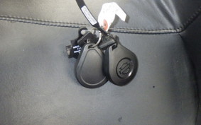 HARLEY FLHXS 1750 2017