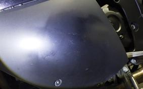KAWASAKI ZX 1400 NINJA R A 2019