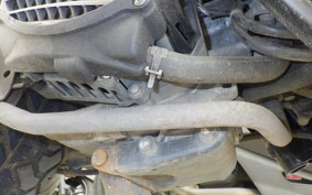 HONDA ZOOMER AF58